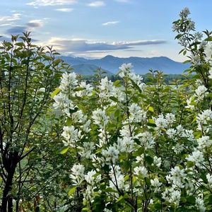 Meet your Posher, Kaley